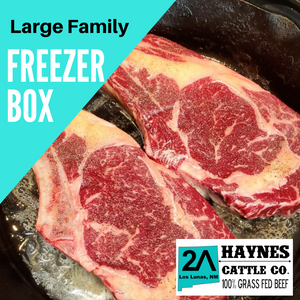 Large Family Freezer Box