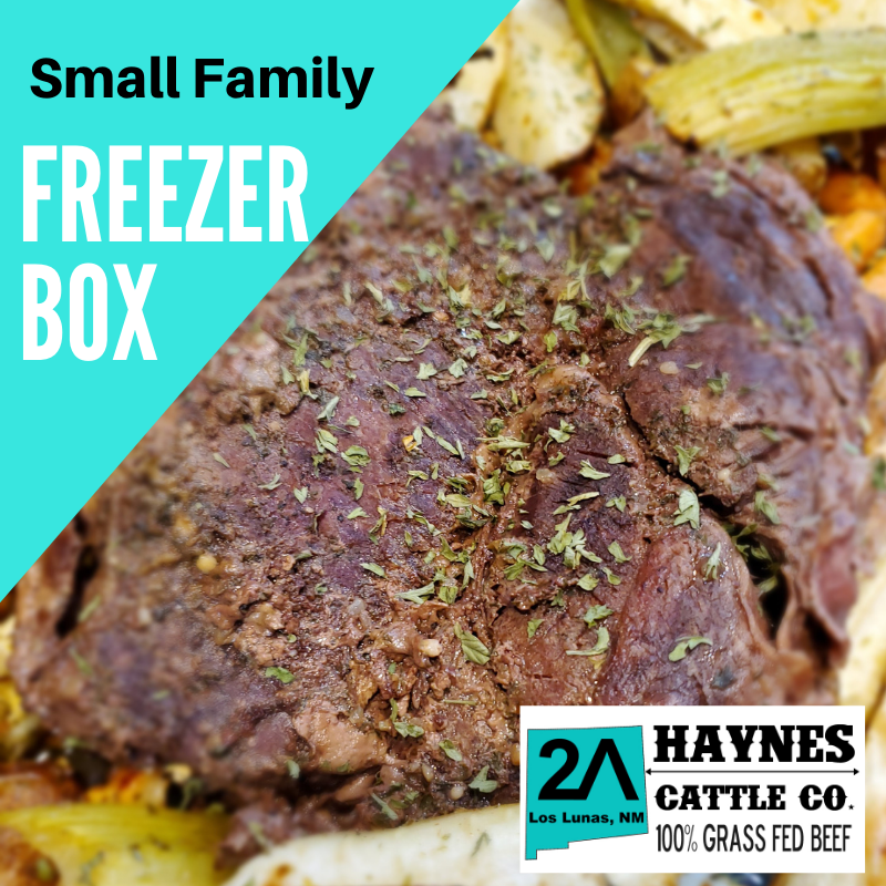 Small Family Freezer Box